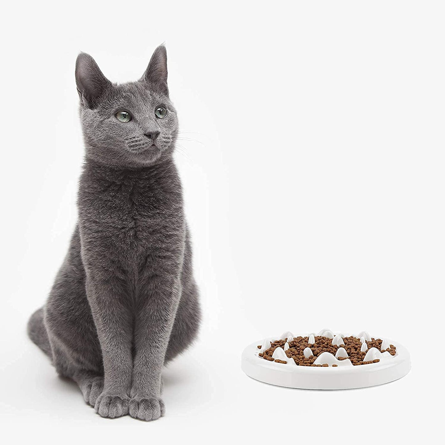 Dog Slow Feeder Bowl with Non-Slip Mats, Slow Eating Dog Bowl, Preventing Choking Healthy Eating Diet Pet Dog Slow Feeding Bowls