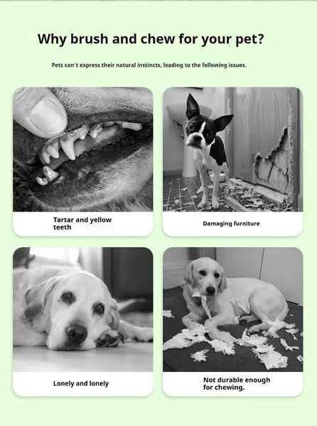 DOG Chew Toys For Teeth Cleaning,Pet Sausage Chew Brush,Pet Chew & Clean Buddy