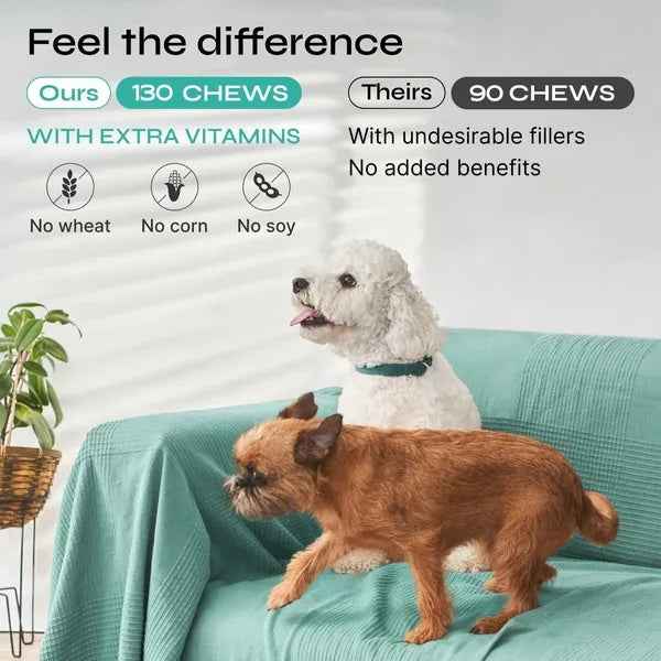 Hemp Calming Chews For Dog Anxiety Relief Duck Favor Calming Treats For Dogs Stress Separation Anxiety Relief Storms Hemp Seed Oil Calming Chews For Dogs Calming Treats For Anxiety Relief