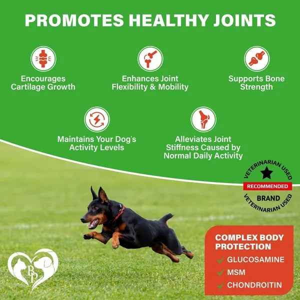 Dog Hip And Joint Supplement Arthritis Pain Relief Treats Glucosamine Chondroitin MSM Soft Chews