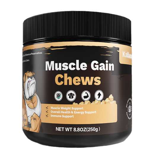 Dog Muscle Support Chews