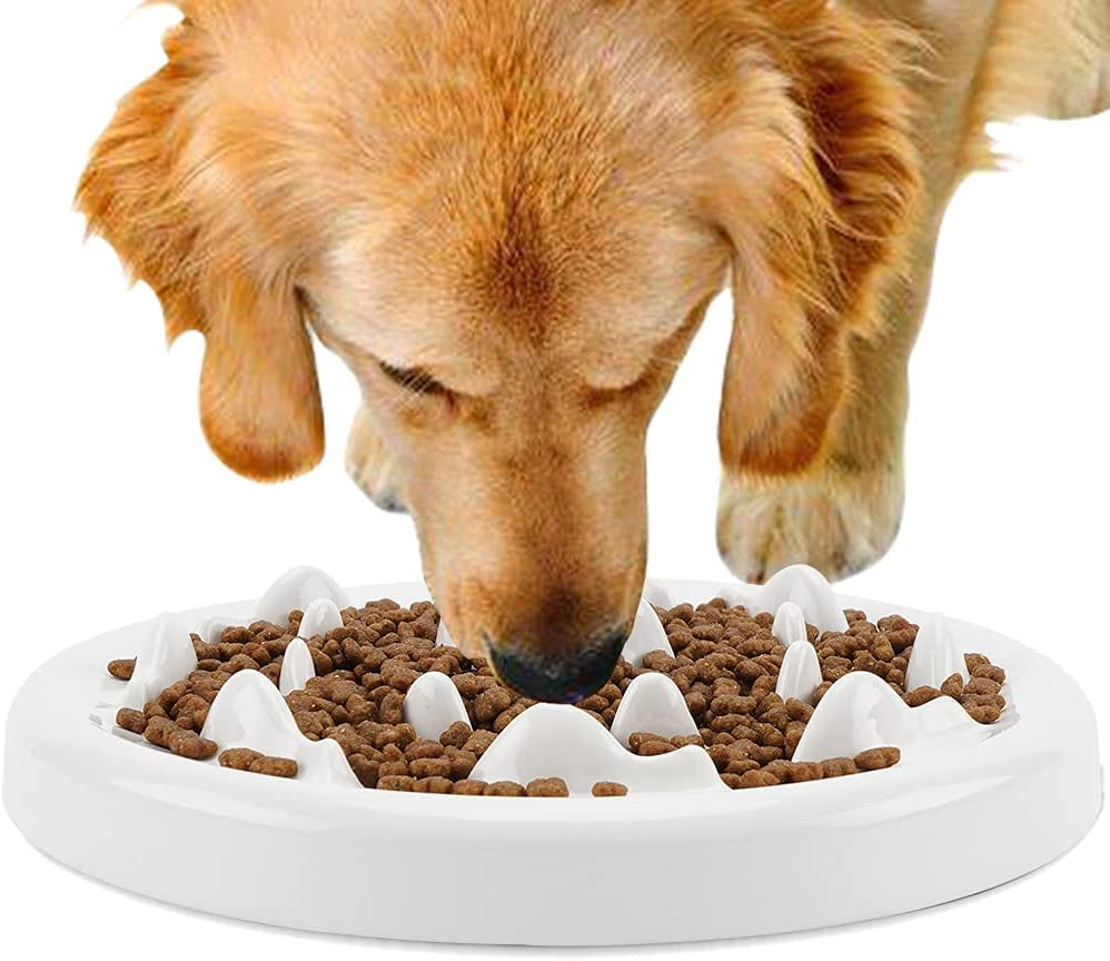 Dog Slow Feeder Bowl with Non-Slip Mats, Slow Eating Dog Bowl, Preventing Choking Healthy Eating Diet Pet Dog Slow Feeding Bowls