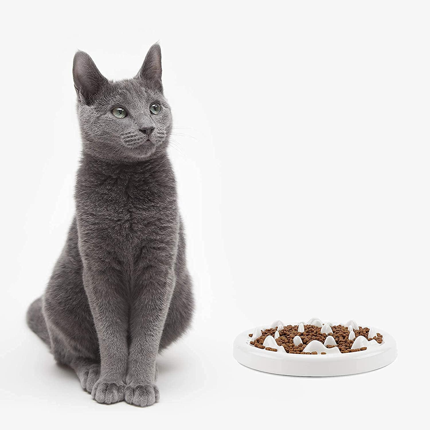 Dog Slow Feeder Bowl with Non-Slip Mats, Slow Eating Dog Bowl, Preventing Choking Healthy Eating Diet Pet Dog Slow Feeding Bowls