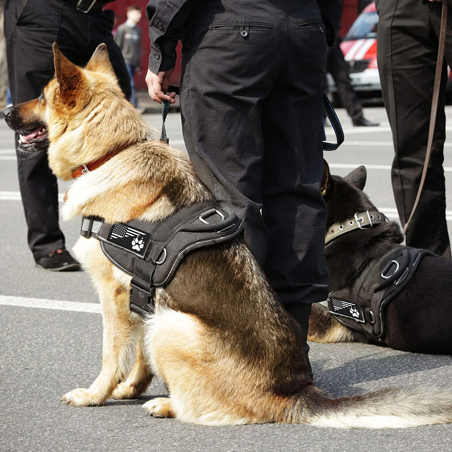 8 Pieces Reflective Service Dog Vest Patches Do Not Pet in Training Harness Removable Tactical Dog Vest Patches with Printed Paw(Classic Patterns,4.3 X 1.6 Inch)