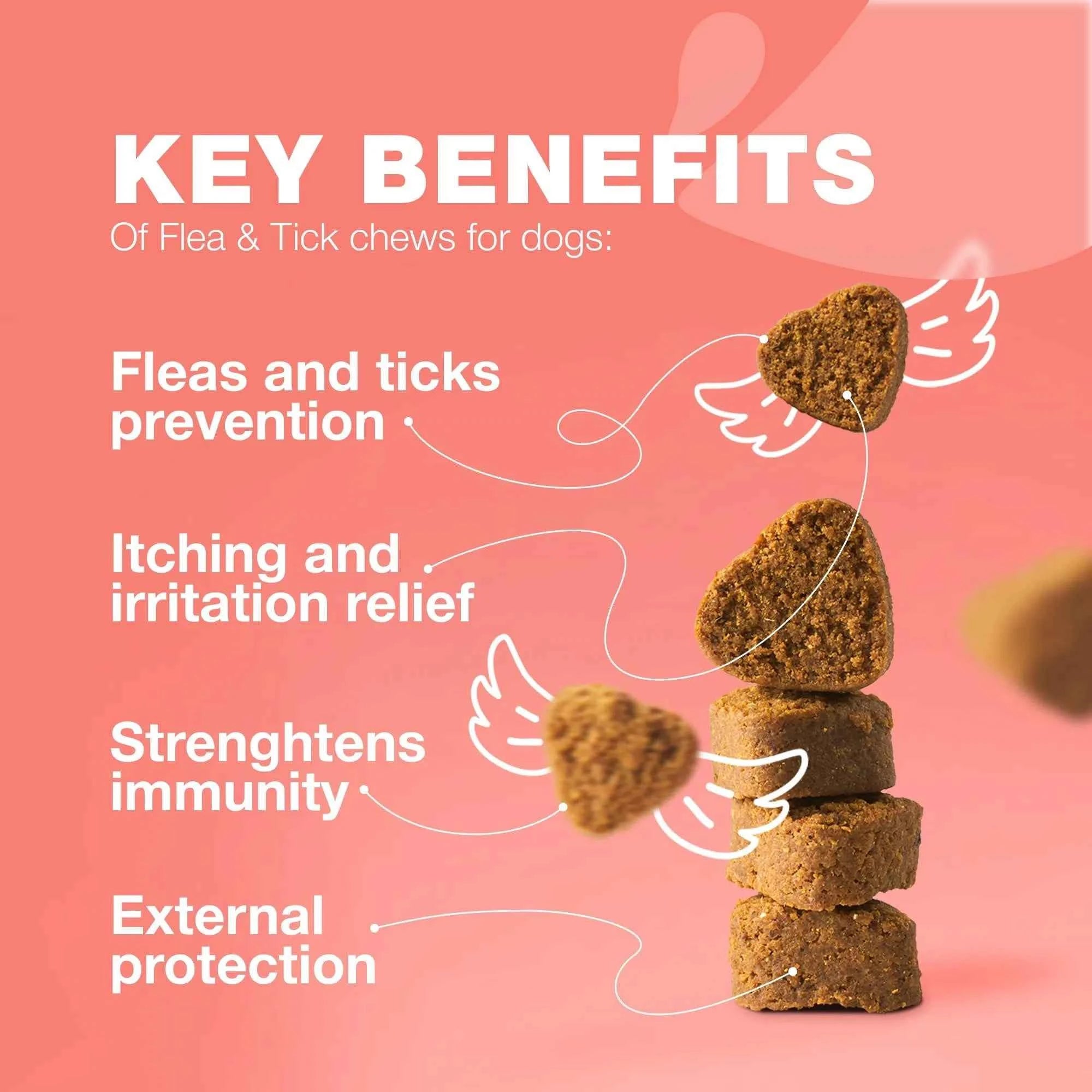 Dog Flea And Tick Treatment Chews FleaTick Prevention For Dogs Chewables Natural Dog Flea & Tick Control Soft Treats Immune Support Supplement