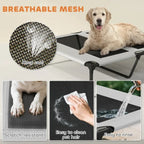 Elevated Outdoor Dog Bed
